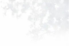나무 |와이즈에스테무코트 슈리 기호역 앞